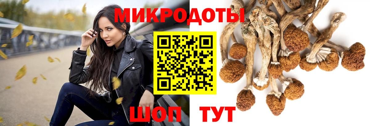 Псилоцибиновые грибы MAGIC MUSHROOMS Зеленокумск